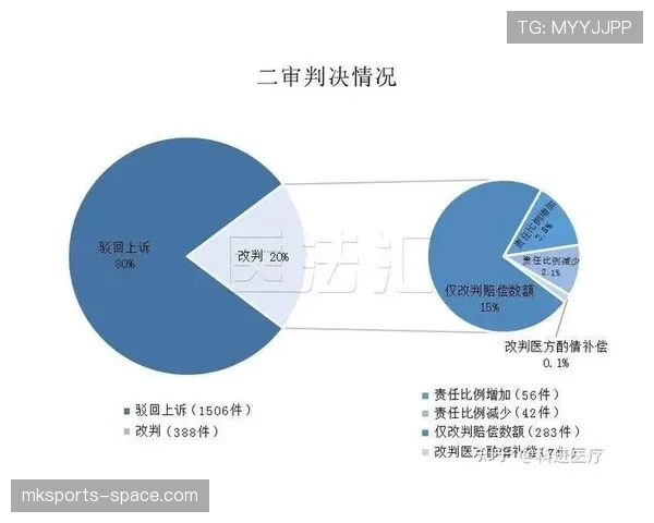 身体冲撞判罚标准解析及裁判执行细节讲解